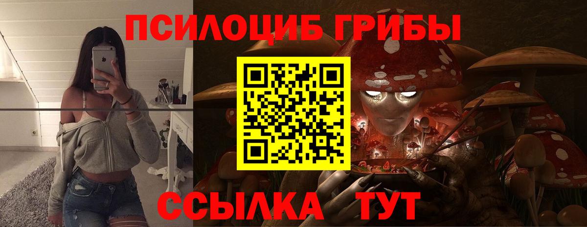 Галлюциногенные грибы мухоморы  где продают наркотики  Заинск  Вход с VPN 