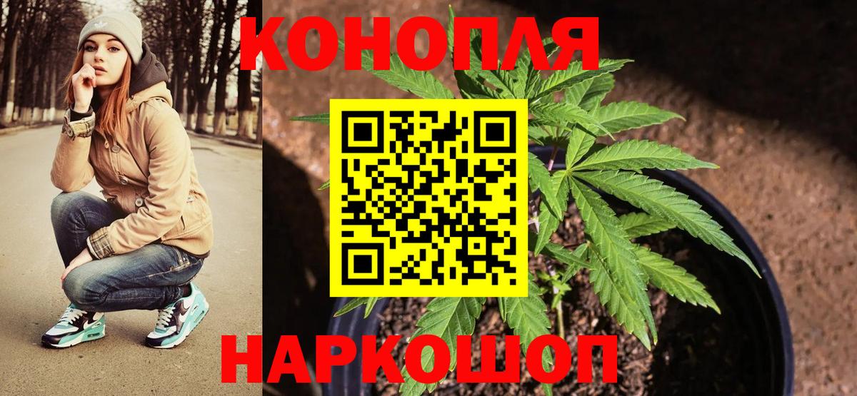 Марихуана SATIVA & INDICA Заинск